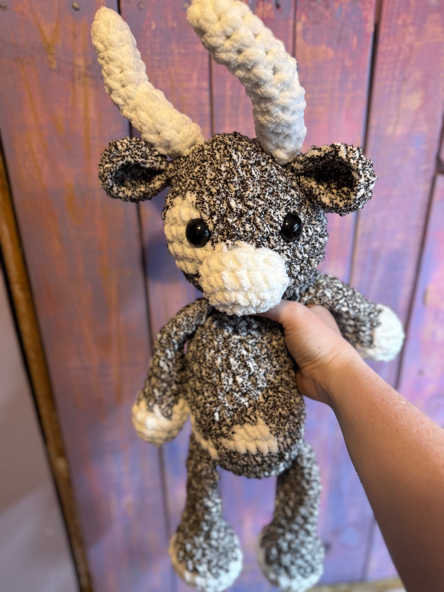 Langston cow