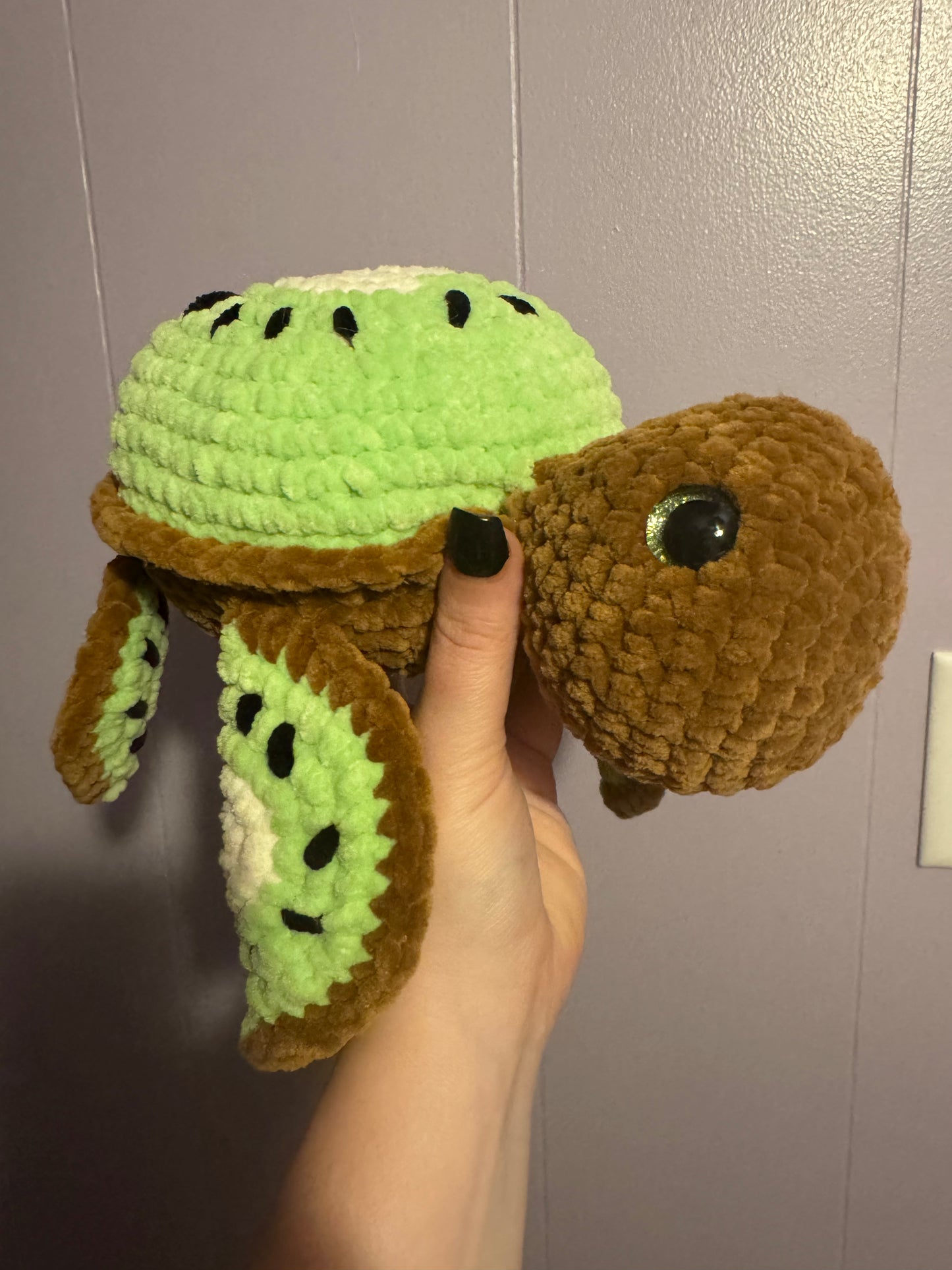 Kiwi turtle