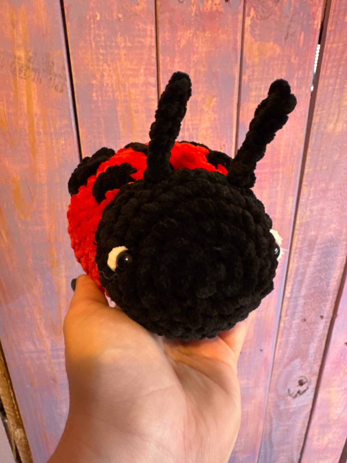 Lady Bug