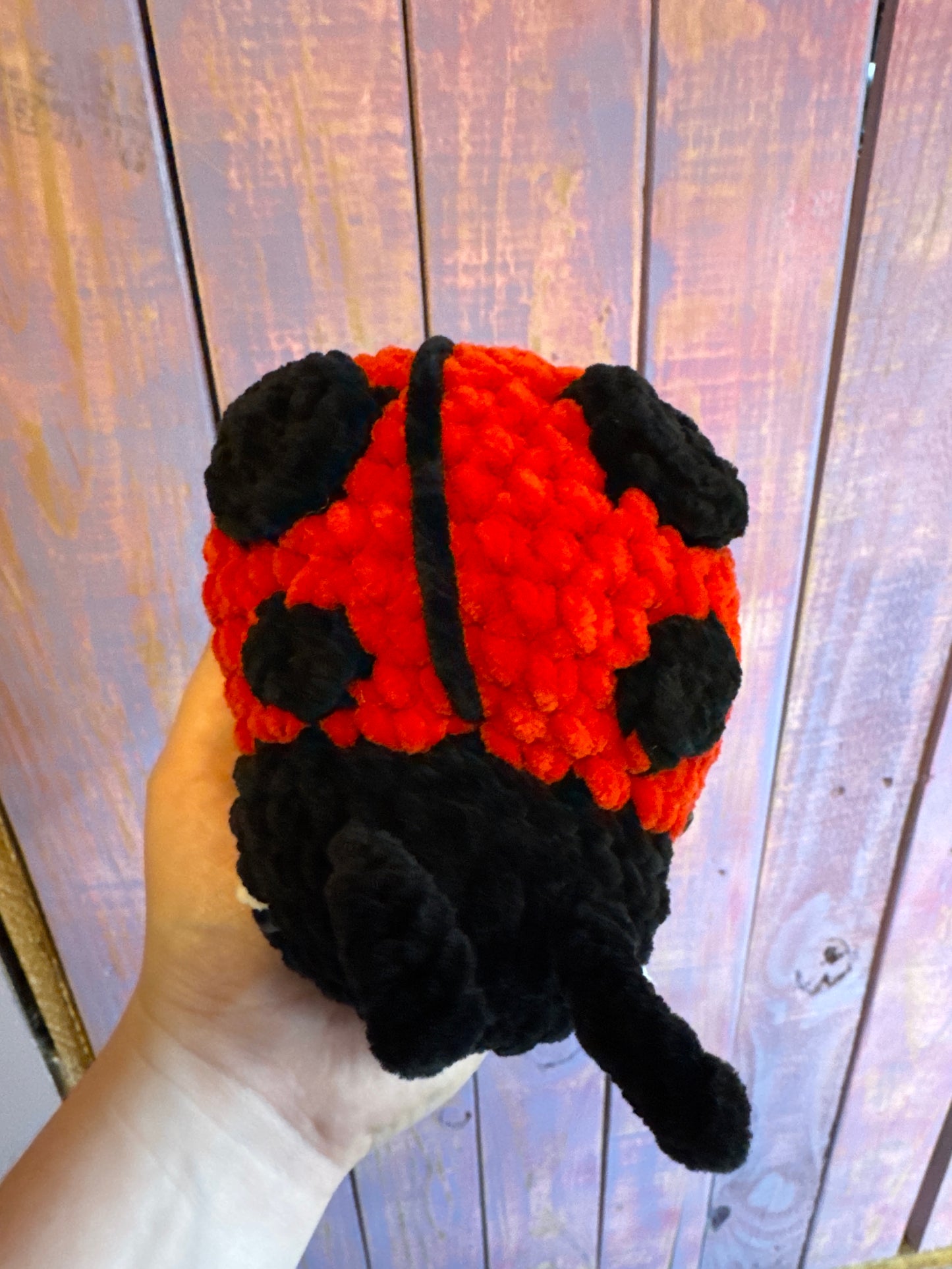 Lady Bug